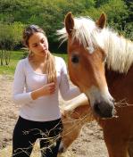 Clicca per ingrandire