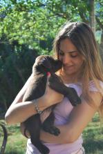 Clicca per ingrandire